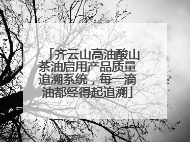 齐云山高油酸山茶油启用产品质量追溯系统，每一滴油都经得起追溯