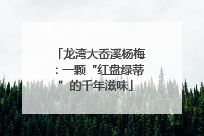 龙湾大岙溪杨梅：一颗“红盘绿蒂”的千年滋味