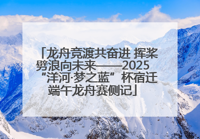 龙舟竞渡共奋进 挥桨劈浪向未来——2025“洋河·梦之蓝”杯宿迁端午龙舟赛侧记