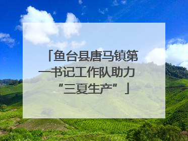 鱼台县唐马镇第一书记工作队助力“三夏生产”