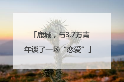 鹿城，与3.7万青年谈了一场“恋爱”