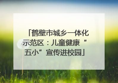 鹤壁市城乡一体化示范区：儿童健康“五小”宣传进校园