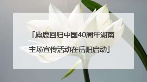 麋鹿回归中国40周年湖南主场宣传活动在岳阳启动