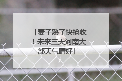 麦子熟了快抢收！未来三天河南大部天气晴好