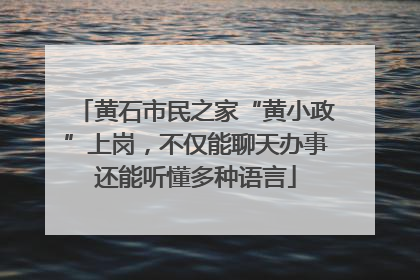黄石市民之家“黄小政”上岗，不仅能聊天办事还能听懂多种语言
