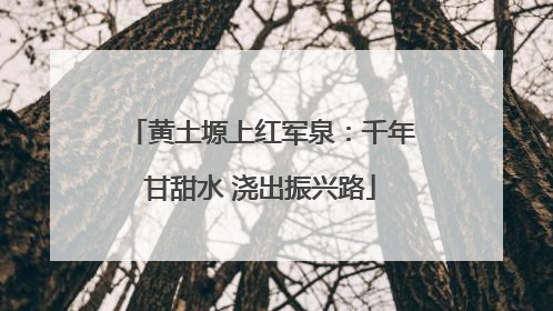 黄土塬上红军泉：千年甘甜水 浇出振兴路