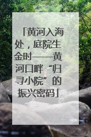 黄河入海处，庭院生金时——黄河口畔“归寻小院”的振兴密码