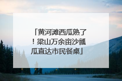 黄河滩西瓜熟了！梁山万余亩沙瓤瓜直达市民餐桌