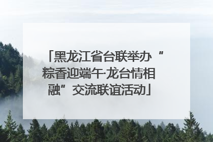 黑龙江省台联举办“粽香迎端午·龙台情相融”交流联谊活动
