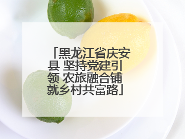 黑龙江省庆安县 坚持党建引领 农旅融合铺就乡村共富路