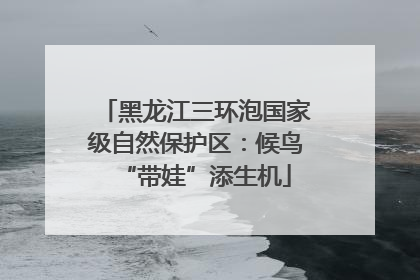 黑龙江三环泡国家级自然保护区：候鸟“带娃”添生机