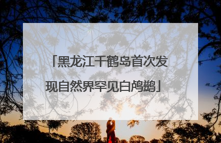 黑龙江千鹤岛首次发现自然界罕见白鸬鹚