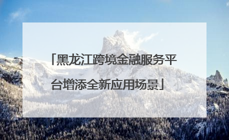 黑龙江跨境金融服务平台增添全新应用场景