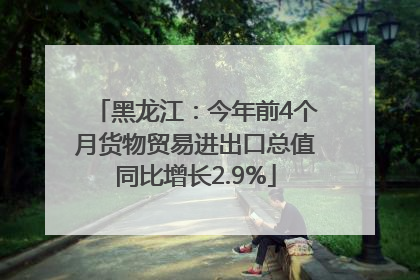 黑龙江：今年前4个月货物贸易进出口总值同比增长2.9%