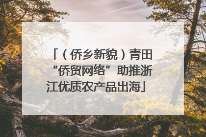 （侨乡新貌）青田“侨贸网络”助推浙江优质农产品出海