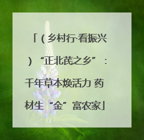 （乡村行·看振兴）“正北芪之乡”：千年草本焕活力 药材生“金”富农家