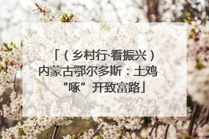 （乡村行·看振兴）内蒙古鄂尔多斯：土鸡“啄”开致富路