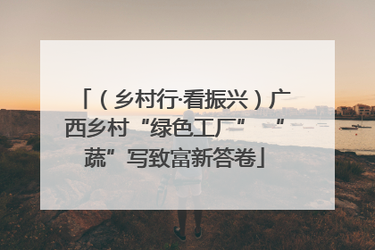 （乡村行·看振兴）广西乡村“绿色工厂” “蔬”写致富新答卷