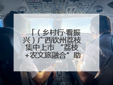 （乡村行·看振兴）广西钦州荔枝集中上市 “荔枝+农文旅融合”助农增收