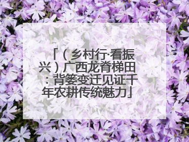 （乡村行·看振兴）广西龙脊梯田：背篓变迁见证千年农耕传统魅力