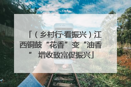 （乡村行·看振兴）江西铜鼓“花香”变“油香” 增收致富促振兴