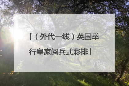 （外代一线）英国举行皇家阅兵式彩排