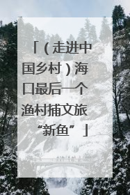（走进中国乡村）海口最后一个渔村捕文旅“新鱼”