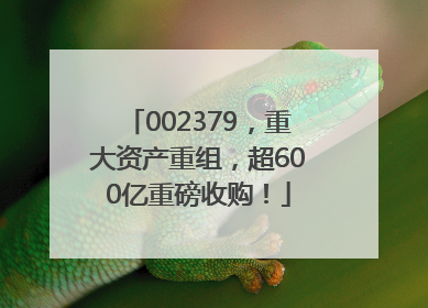 002379，重大资产重组，超600亿重磅收购！