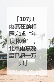 107只雨燕在颐和园完成“年度体检”，北京雨燕数量已超一万只
