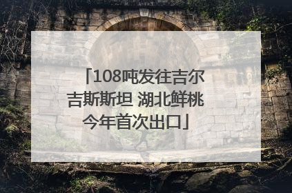 108吨发往吉尔吉斯斯坦 湖北鲜桃今年首次出口