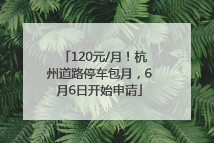 120元/月！杭州道路停车包月，6月6日开始申请