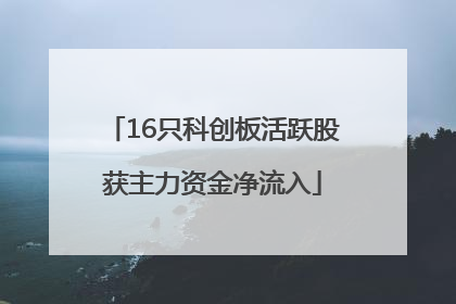 16只科创板活跃股获主力资金净流入
