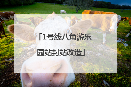 1号线八角游乐园站封站改造