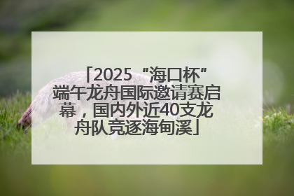 2025“海口杯”端午龙舟国际邀请赛启幕，国内外近40支龙舟队竞逐海甸溪