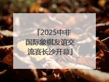 2025中非国际象棋友谊交流赛长沙开幕