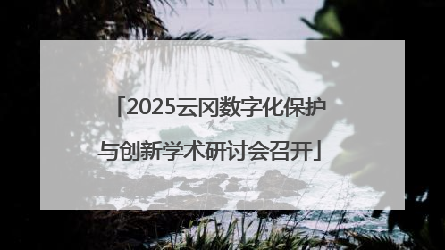 2025云冈数字化保护与创新学术研讨会召开