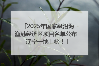 2025年国家级沿海渔港经济区项目名单公布 辽宁一地上榜！