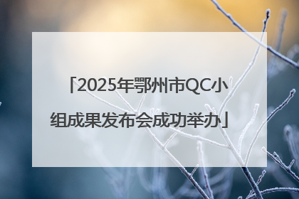 2025年鄂州市QC小组成果发布会成功举办