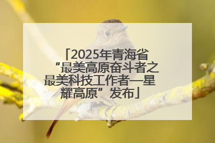 2025年青海省“最美高原奋斗者之最美科技工作者—星耀高原”发布
