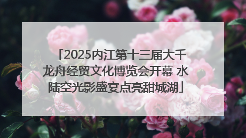 2025内江第十三届大千龙舟经贸文化博览会开幕 水陆空光影盛宴点亮甜城湖