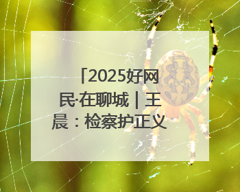 2025好网民·在聊城｜王晨：检察护正义 青春筑晴朗