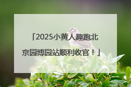 2025小黄人趣跑北京园博园站顺利收官！