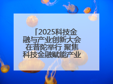 2025科技金融与产业创新大会在普陀举行 聚焦科技金融赋能产业升级之策