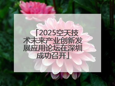 2025空天技术未来产业创新发展应用论坛在深圳成功召开