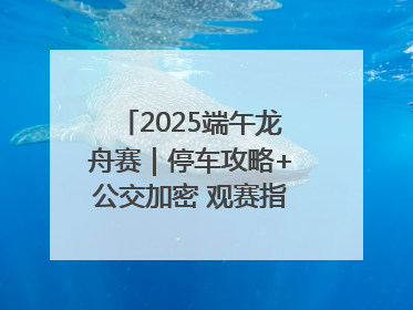 2025端午龙舟赛｜停车攻略+公交加密 观赛指南来了！