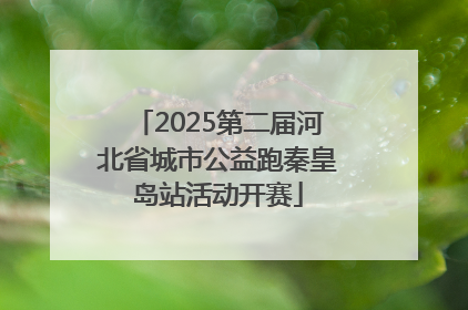 2025第二届河北省城市公益跑秦皇岛站活动开赛
