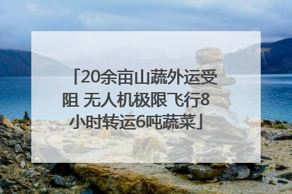20余亩山蔬外运受阻 无人机极限飞行8小时转运6吨蔬菜