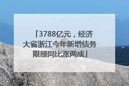 3788亿元，经济大省浙江今年新增债务限额同比涨两成