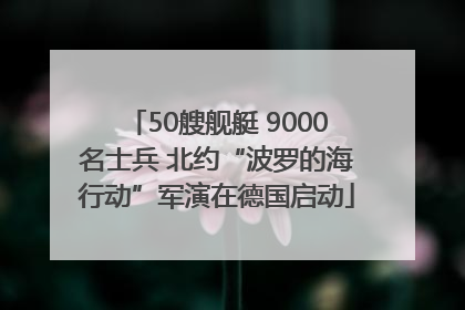 50艘舰艇 9000名士兵 北约“波罗的海行动”军演在德国启动