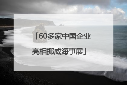 60多家中国企业亮相挪威海事展